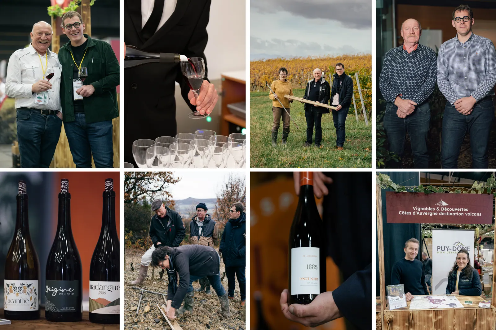 AOC Côtes d’Auvergne : identité, photo & vidéo par Luds Studio, visuel 7