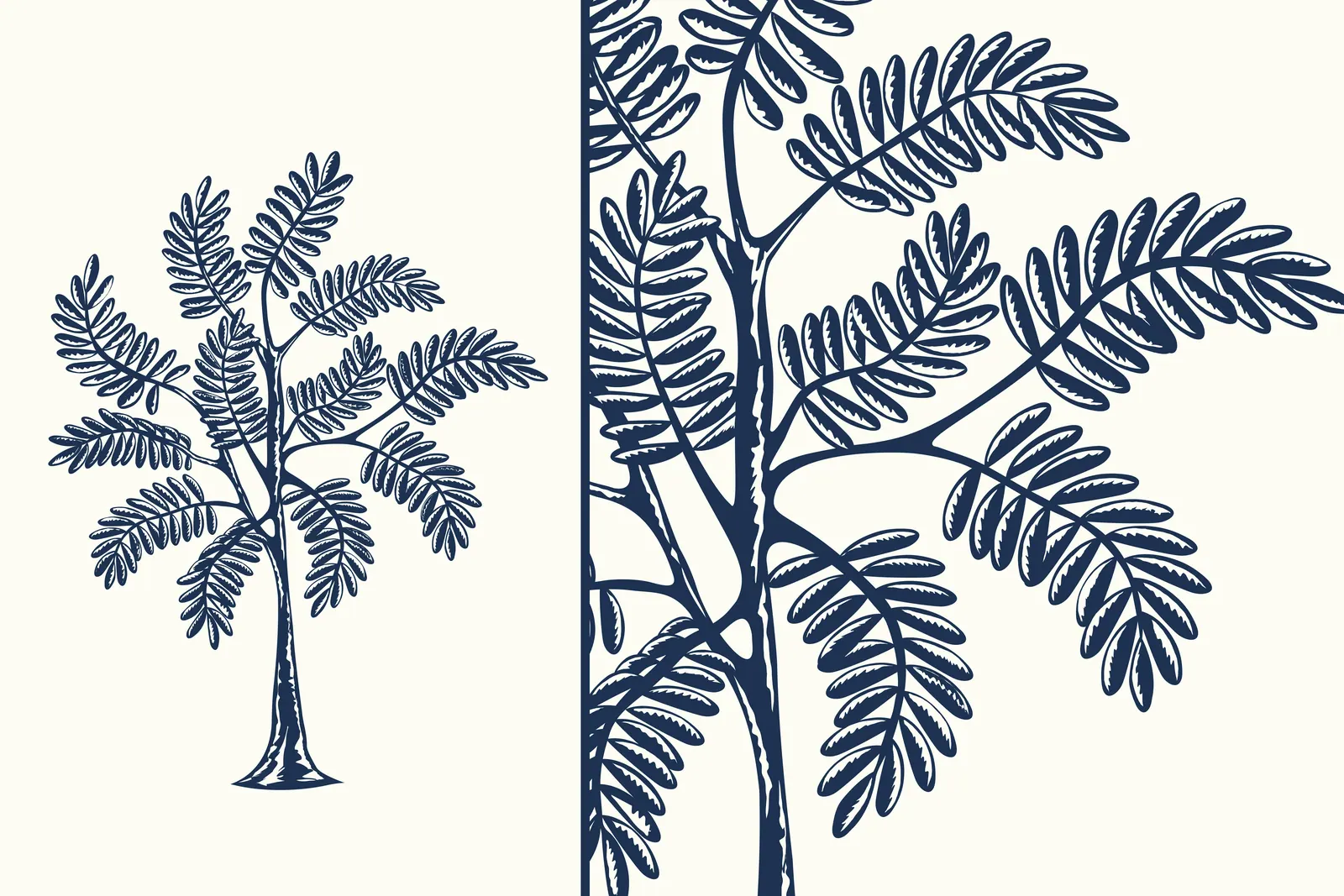 Le Tamarinier : identité visuelle par Luds Studio, visuel 5
